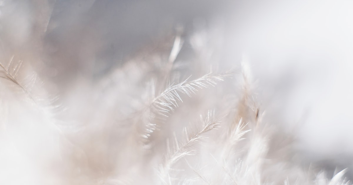 12 signes ange gardien vous parle